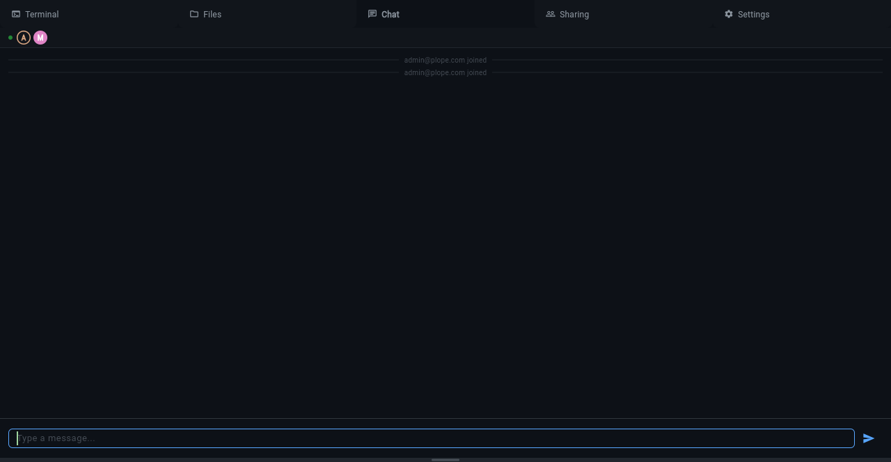 Empty chat panel