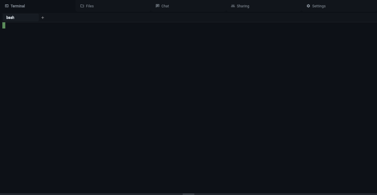 Initial terminal with a single tab