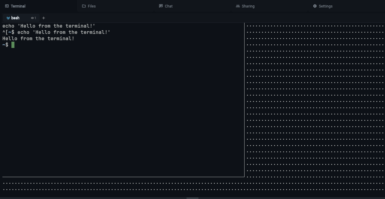 Shared tab showing one viewer